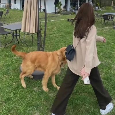 穿越时空之灵格格